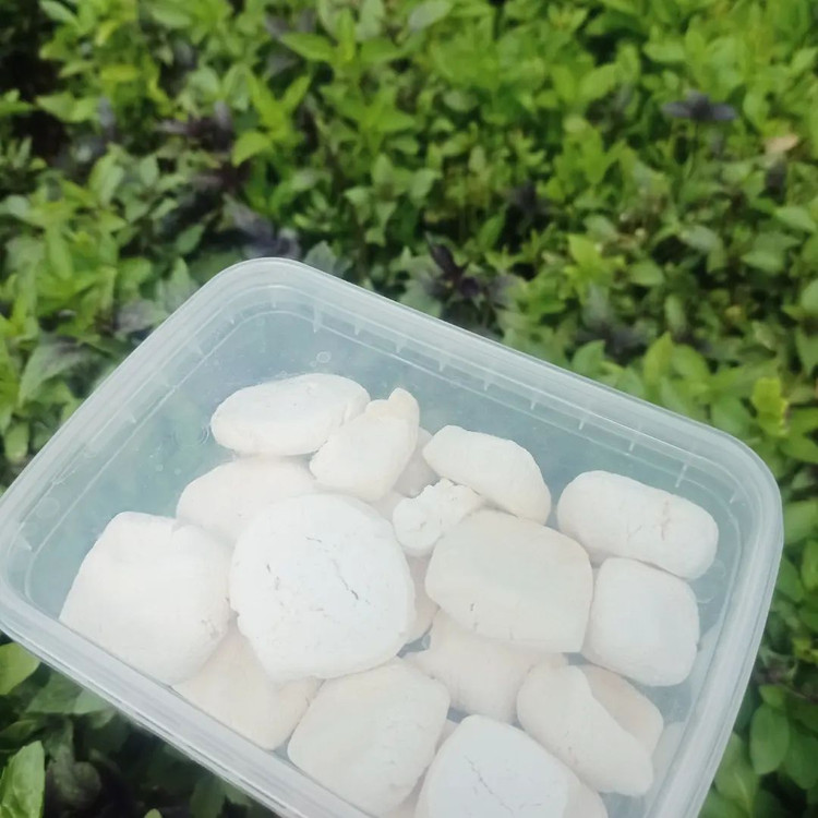 خرید کشک محلی درجه یک اعلا یک کیلویی خشک و مایع با گارانتی کیفیت