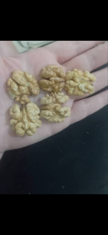 خرید گردو ایرانی دوپر صادراتی تویسرکان پرچرب امسالی با قیمت مناسب