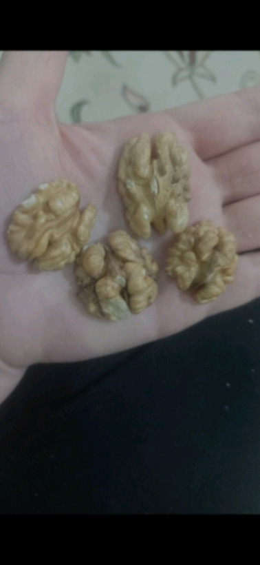 بستهبندی گردو دوپر تویسرکان لوکس صادراتی خشکبار اعلا