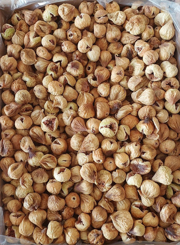 خرید انجیر شکفته سفید استهبان اعلا تمیز و لوکس با قیمت مناسب