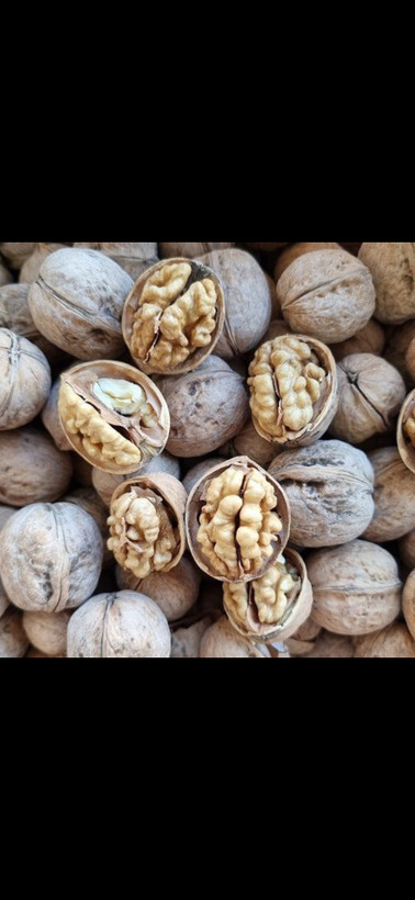 خرید گردو روغنی اعلا پوست کاغذی تویسرکان یک کیلویی پرمغز با ارسال فوری