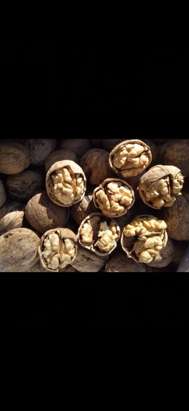 بستهبندی گردو پوست کاغذی تویسرکان لوکس صادراتی خشکبار