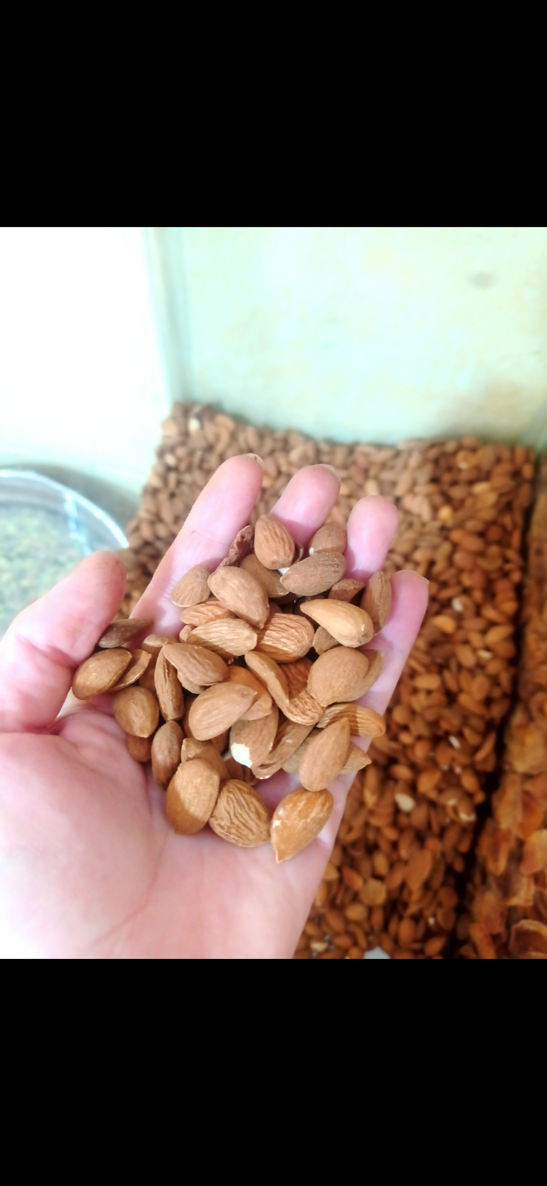 مغز بادام اعلا و محلی امسالی