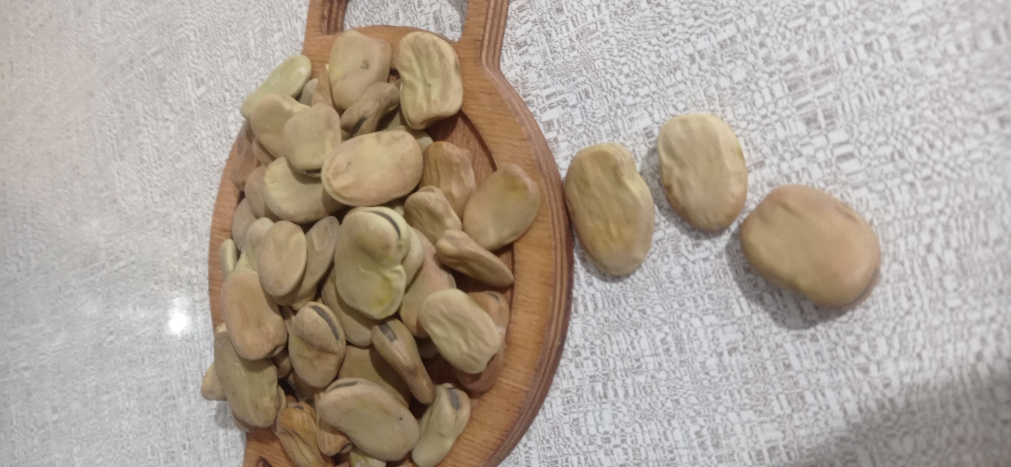 باقالی خشک شمالی یک کیلو