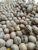 گردو پوست کاغذی تویسرکان سوپر یک کیلویی پرچرب