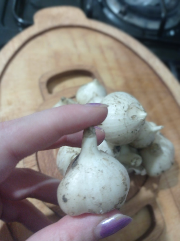 موسیر تازه کوهی دستچین شده