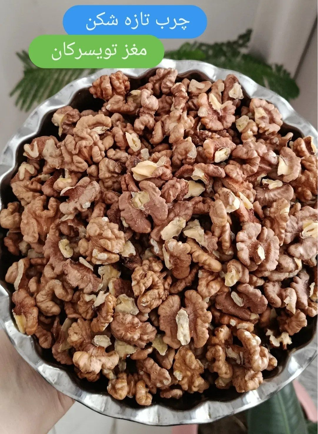 مغز گردو تویسرکان صبحانه روزشکن ارسال فوری