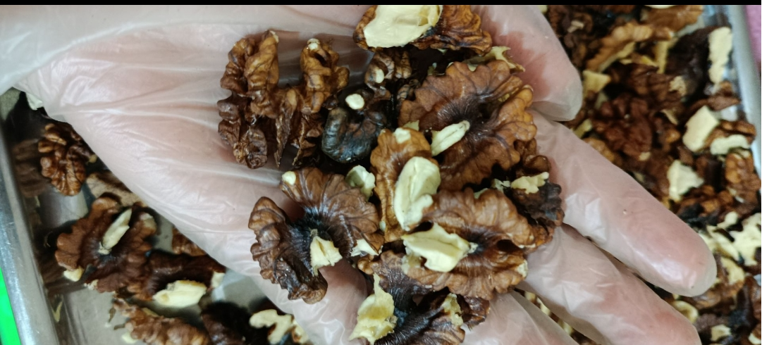 مغز فسنجونی گوشتی تیره